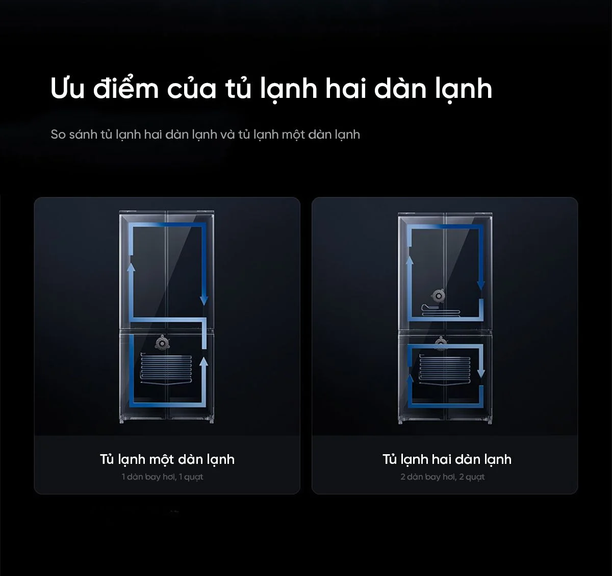Hinh anh tu lanh