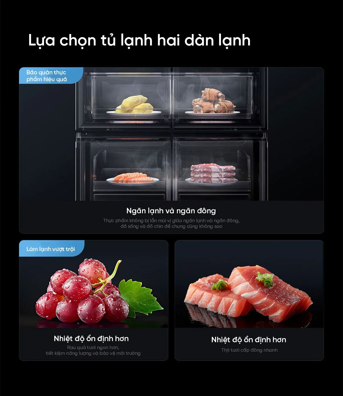 Hinh anh tu lanh