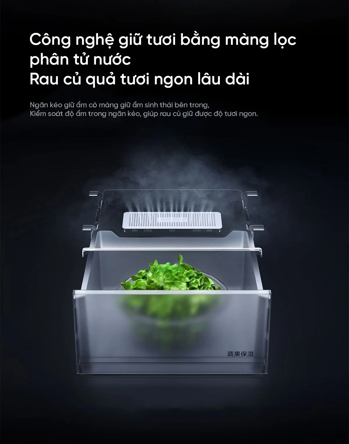Hinh anh tu lanh